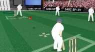 Cricket 2020 Game