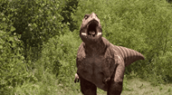 Dinosaur Games