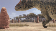 Dinosaur Puzzles